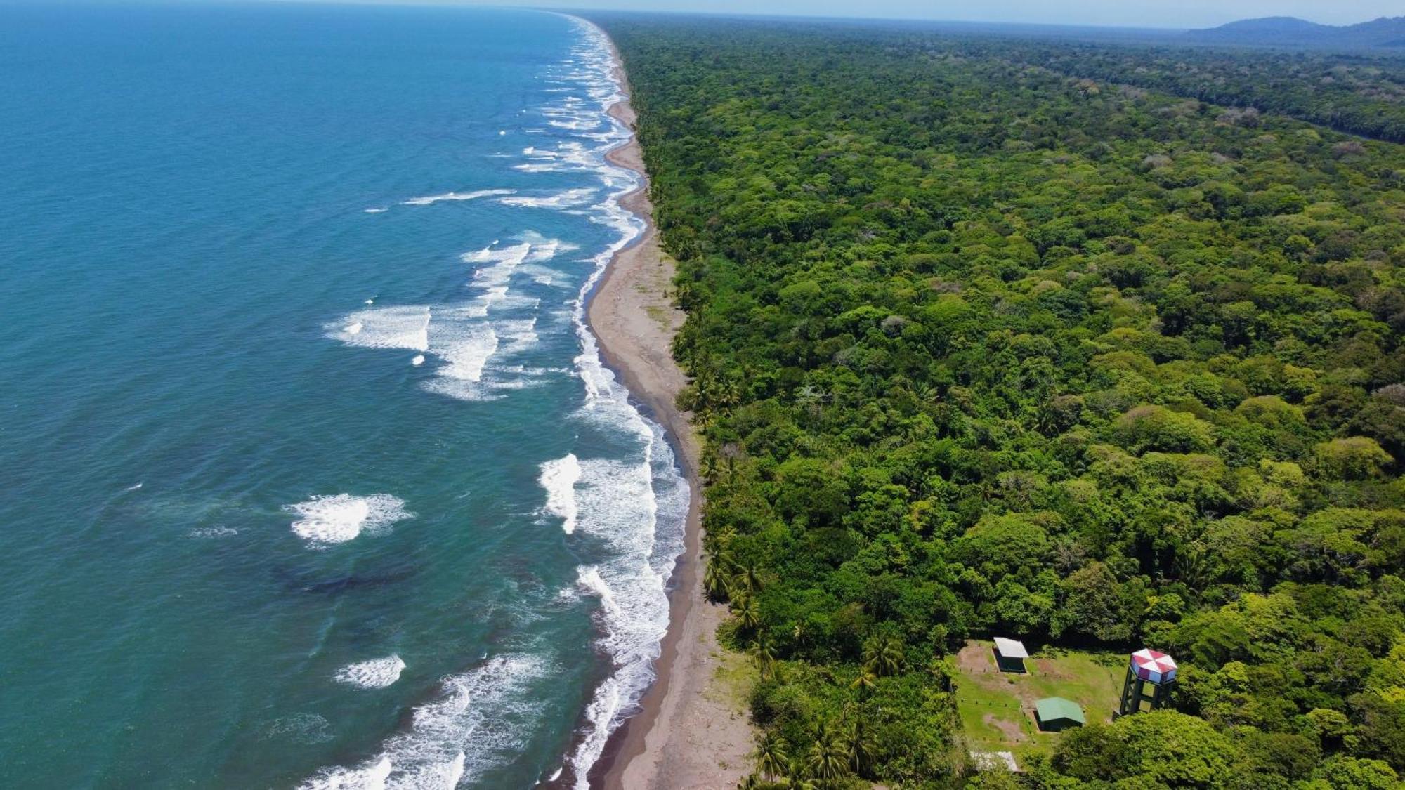 Carey Lodging Tortuguero Extérieur photo