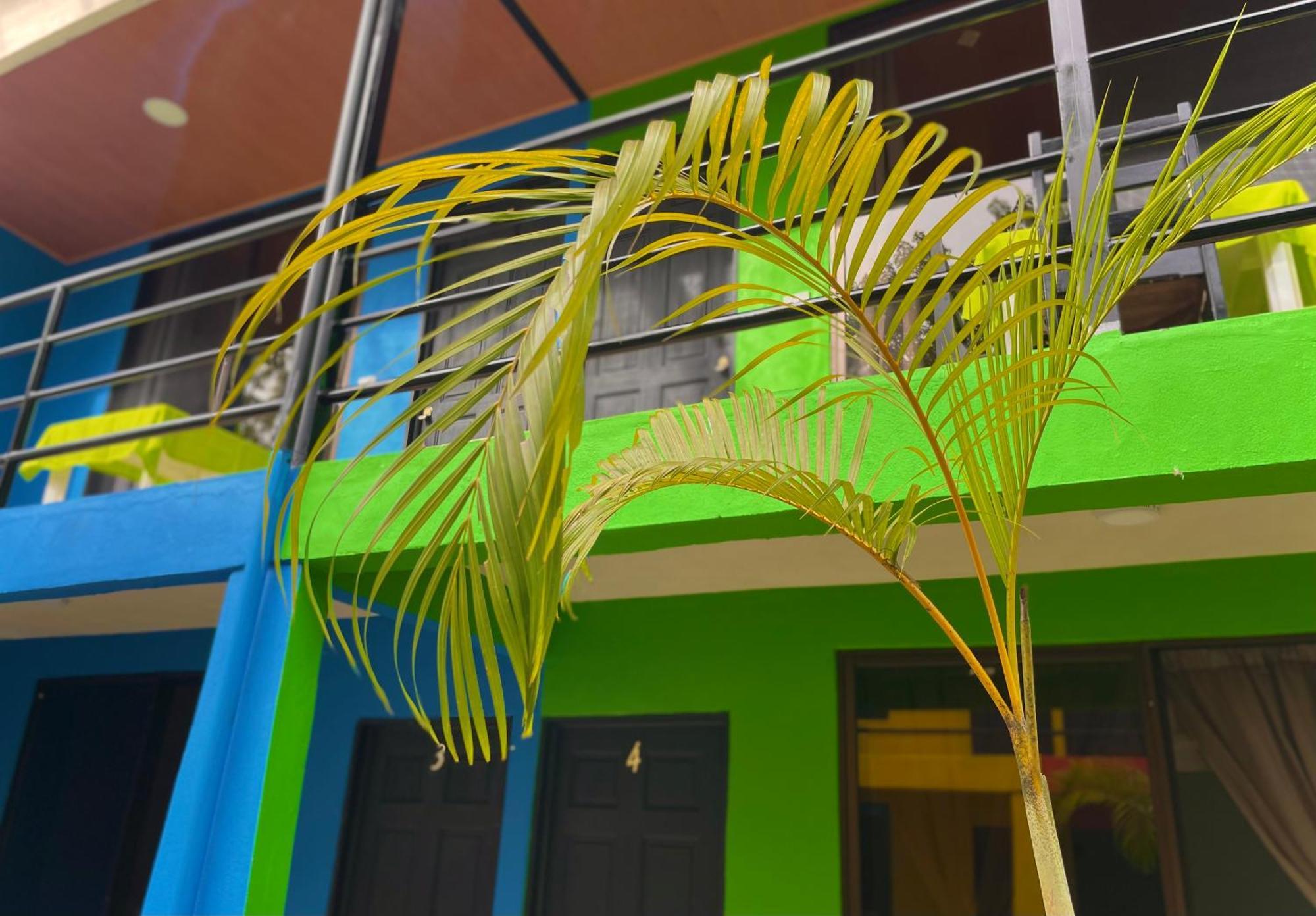 Carey Lodging Tortuguero Extérieur photo